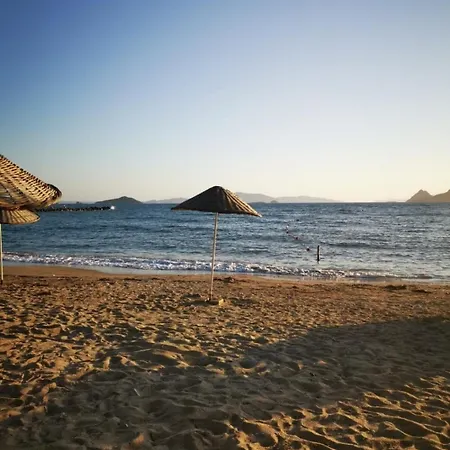 Luxury 4 Bedroom With Private Pool 200m To - Yeni Duenya * بودروم