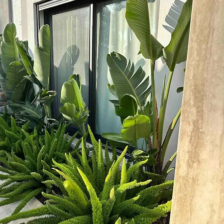 Luxury 4 Bedroom With Private Pool 200m To - Yeni Duenya 빌라 *